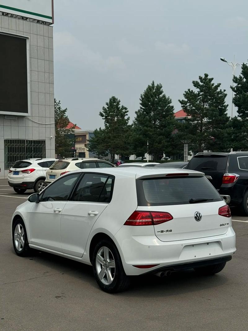 大众最大的高尔夫,最大排量高尔夫