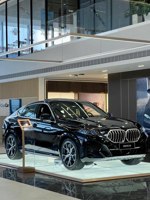 开宝马x6是属于哪类人／开宝马x6m的人