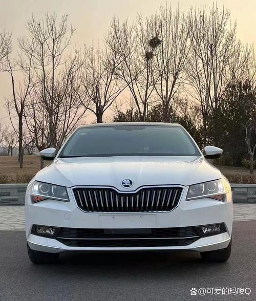 大众克拉斯图片／大众克劳斯图片