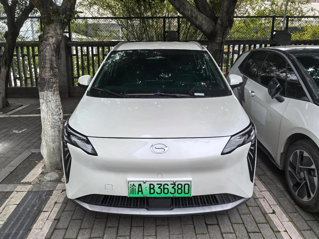 【豪华车网约车平台哪个好,网约车豪华型的车是什么车？】