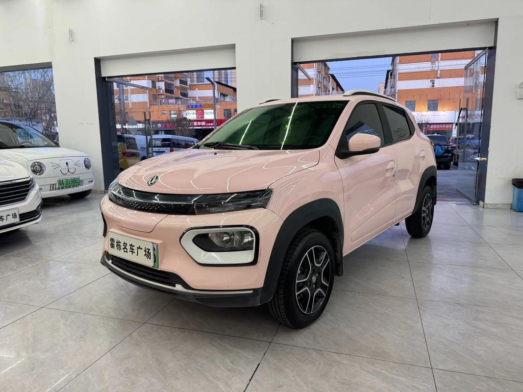 东风ex1质量问题爆发 东风ex1质行版