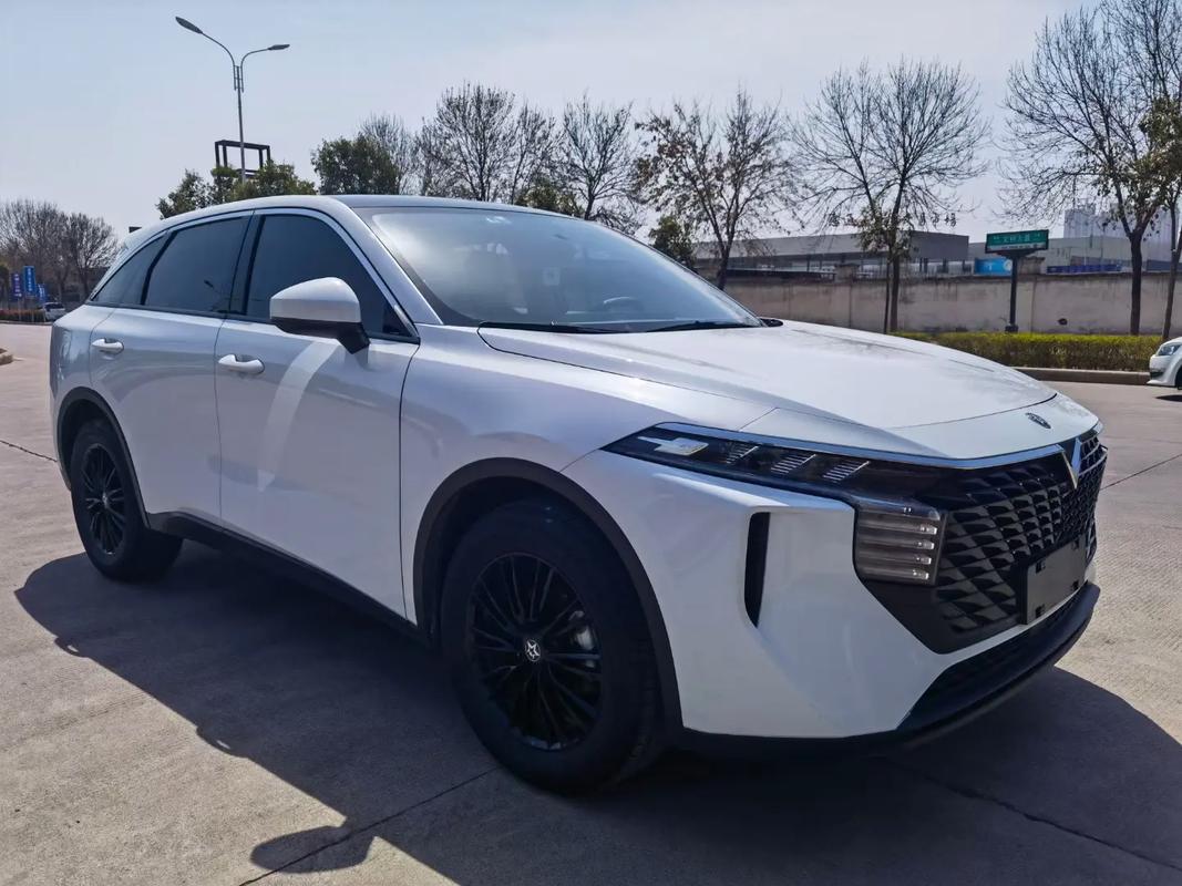 启辰大v和启辰星的区别 启辰星2021款大v