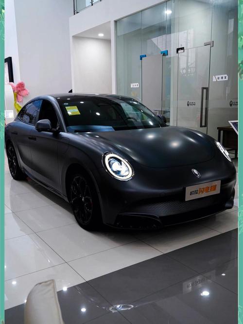 欧拉朋克猫闪电猫价格 欧拉朋克猫闪电猫什么时候上市